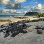 Life Update & What’s In My Cart for the Sephora Sale!